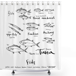 Personality  Sea Food Illustrations / Hand Drawn Food Ingredients - Vector Shower Curtains