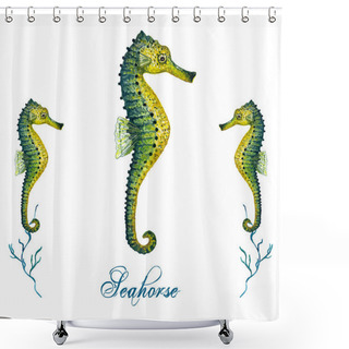 Personality  Watercolor Seahorse, Isolated Shower Curtains