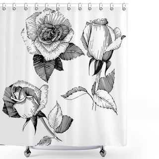 Personality  Wildflower Rose Flower In A Vector Style Isolated. Shower Curtains