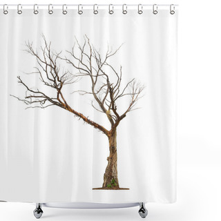 Personality  Tree On White Background Shower Curtains