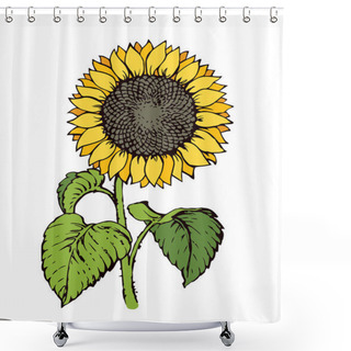 Personality  Vector Illustration. Sunflower Shower Curtains