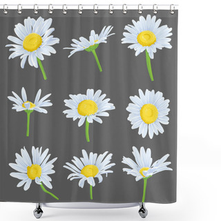 Personality  Vector Set Of Drawing Daisy Flowers Shower Curtains