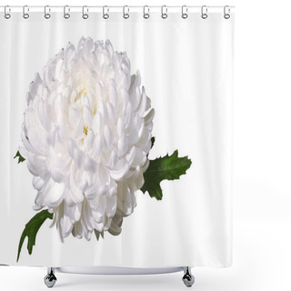 Personality  White Chrysanthemum Shower Curtains