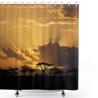 Personality  Sunset In Africa With Acacia Tree On Background Shower Curtains