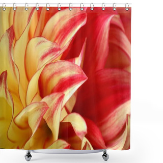 Personality  Close-up View Of Beautiful Blooming Dahlia Shower Curtains