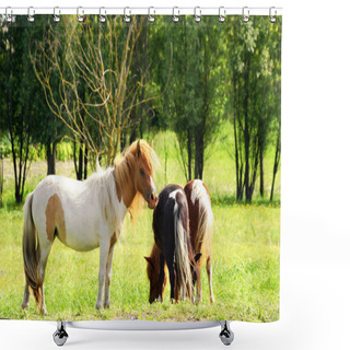 Personality  Pony Horse Shower Curtains