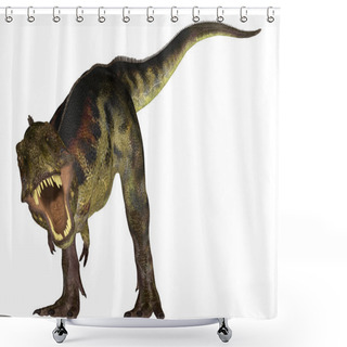 Personality  Tyrannosaurus Shower Curtains
