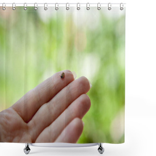 Personality  Tick On Humans Finger Shower Curtains