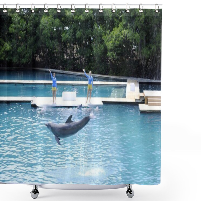 Personality  Bottlenose Dolphin, Jumping Shower Curtains