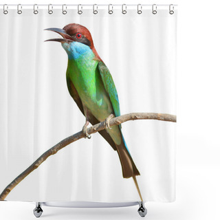 Personality  Blue Throated Bee Eater Bird Shower Curtains