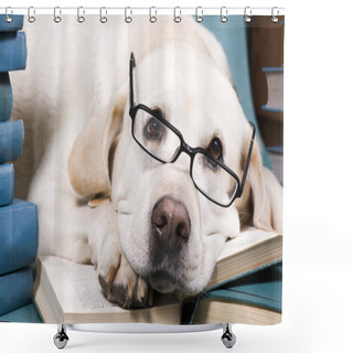 Personality  Intelligent Dog Shower Curtains