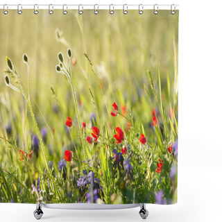 Personality  Red Field Flowers With Green Crops. Shallow DOF Shower Curtains
