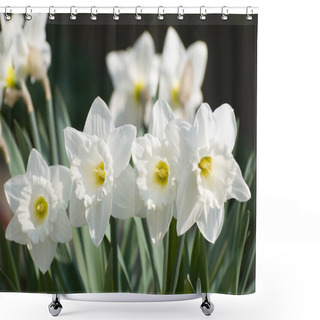 Personality  White Narcissus Flowers Shower Curtains