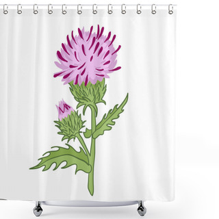 Personality  Vector Illustration Of A Thistle Flower And Bud Shower Curtains