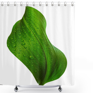 Personality  Leaf With Drops Of Water Shower Curtains