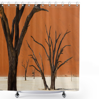 Personality  Namib Desert Sossusvlei Salt Lake Shower Curtains