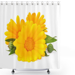 Personality  Marigold Flower Shower Curtains
