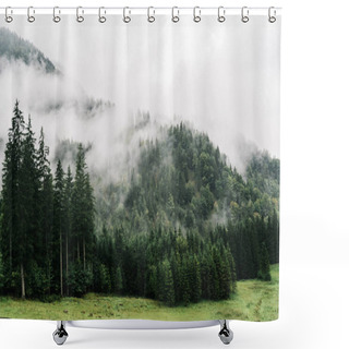 Personality  Misty Landscape With Fir Forest And Mountains In Early Morning Shower Curtains