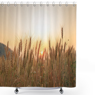 Personality  Bales In Field And Sunset, Soft Focus Shower Curtains
