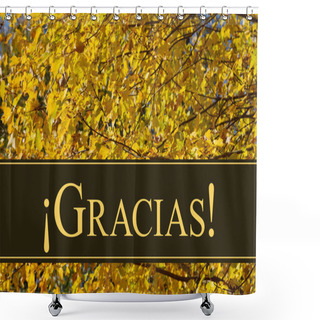 Personality  Spanish Thank You Greeting Shower Curtains