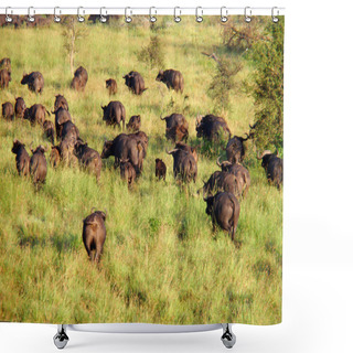 Personality  Wild Animals In Africa Shower Curtains