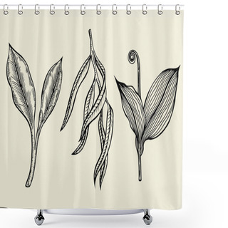 Personality  Hand Drawn Ink Sketch Spring Branches Shower Curtains