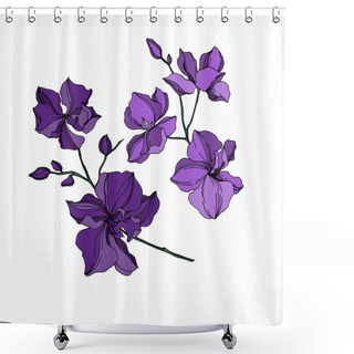 Personality  Vector Orchid Floral Botanical Flowers. Black And Purple Engraved Ink Art. Isolated Orchids Illustration Element. Shower Curtains