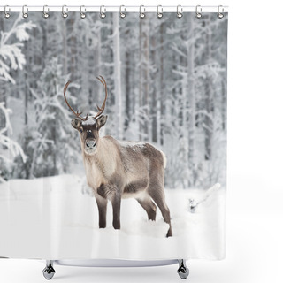 Personality  Reindeer Shower Curtains