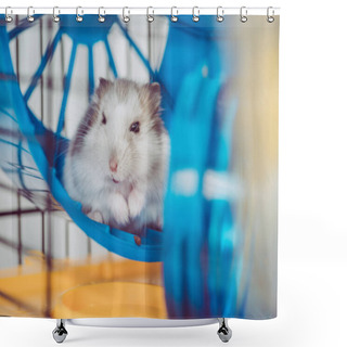 Personality  Selective Focus Of Cute Furry Hamster Sitting In Blue Plastic Wheel Shower Curtains