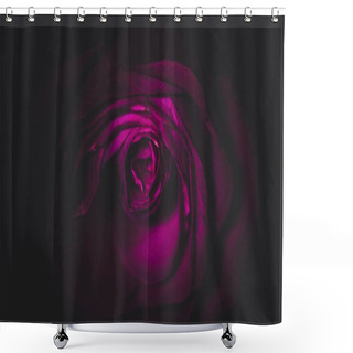 Personality  Dry Purple Rose In The Dark Shower Curtains