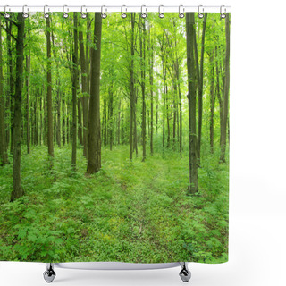 Personality  Forest Landscape Shower Curtains