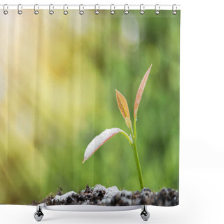 Personality  Success In Business,watering Young New Born Plant Growing Out Of Soil In Sun Light ,agriculture Shower Curtains