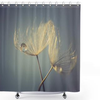 Personality  Abstract Dandelion Flower Background, Extreme Closeup. Big Dandelion On Natural Background Shower Curtains