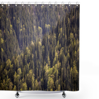 Personality  Mountain Forest View Shower Curtains