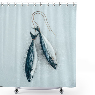 Personality  Top View Of Raw Mackerel Fish Tied With Rope On Ice  Shower Curtains