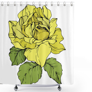 Personality  Beautiful Yellow Rose Flower With Green Leaves. Isolated Rose Illustration Element. Engraved Ink Art. Shower Curtains