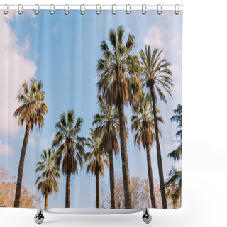 Personality  Tall Straight Palm Trees On Blue Sky Background, Barcelona, Spain Shower Curtains