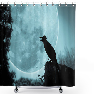 Personality  Night Sky With Full Moon, Tree And Silhouette Of Crow Shower Curtains