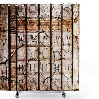 Personality  Ancient Law Books Shower Curtains