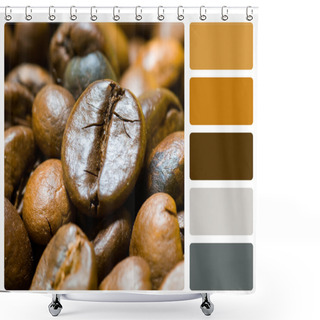 Personality  Coffee Beans Colour Palette Swatch Shower Curtains