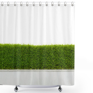 Personality  Hedge Isolated On White Shower Curtains