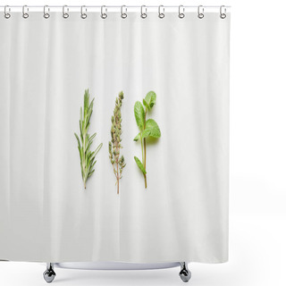 Personality  Top View Of Rosemary, Thyme And Mint On White Background Shower Curtains