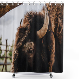 Personality  Close Up View Of Bison Muzzle In Corral At Zoo  Shower Curtains