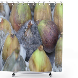 Personality  Rotten Figs With Different Stages Of Grey Mold Shower Curtains