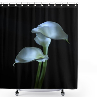Personality  Beautiful Calla Lily Flower Isolated On Black  Shower Curtains