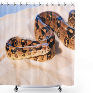Personality  Selective Focus Of Snake On Sand On Blue Background Shower Curtains