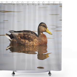 Personality  Duck On The Lake Shower Curtains