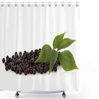 Personality  Elderberry Fruit Shower Curtains