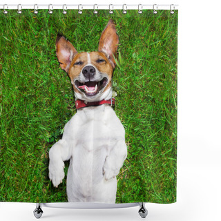 Personality  Very Funny Dog Shower Curtains