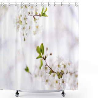 Personality  Blossom In Spring Shower Curtains